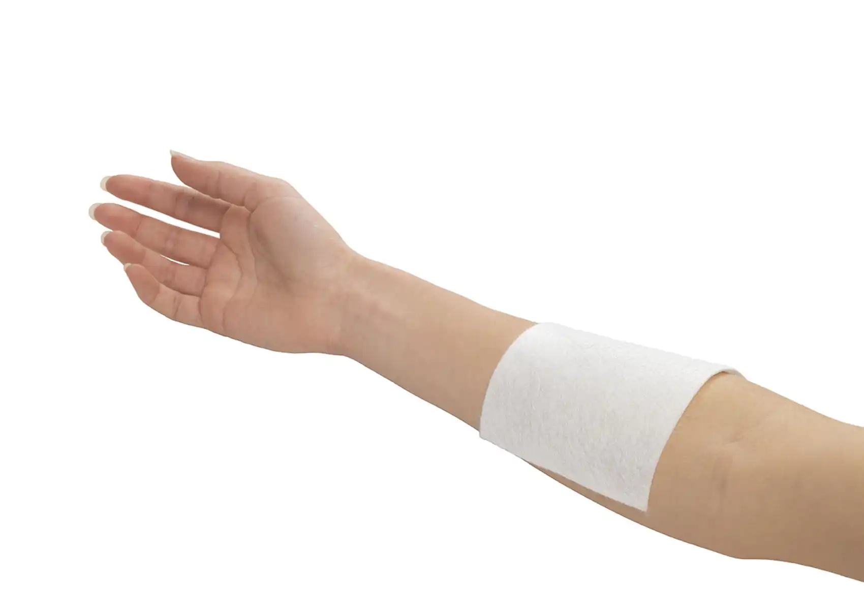 ALginate dressing
